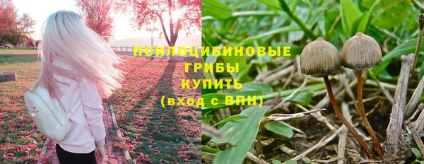 стафф Михайловка
