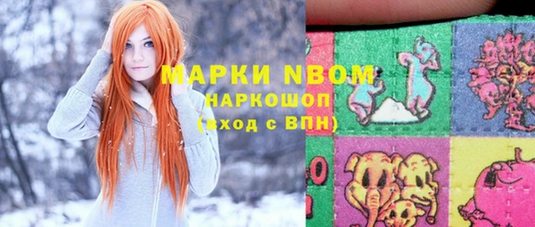 соль ск Михайлов