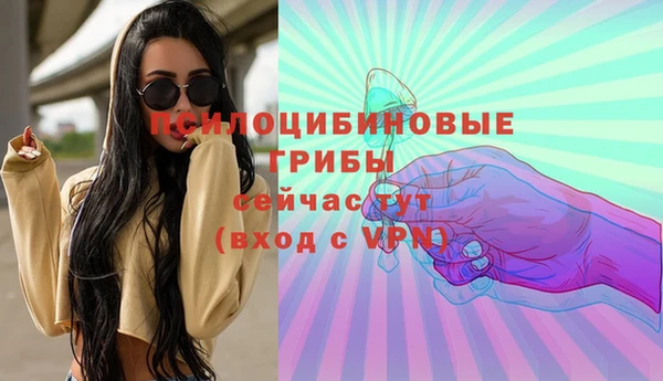 соль ск Михайлов