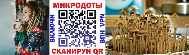 Псилоцибиновые грибы MAGIC MUSHROOMS  MEGA онион  Таруса 